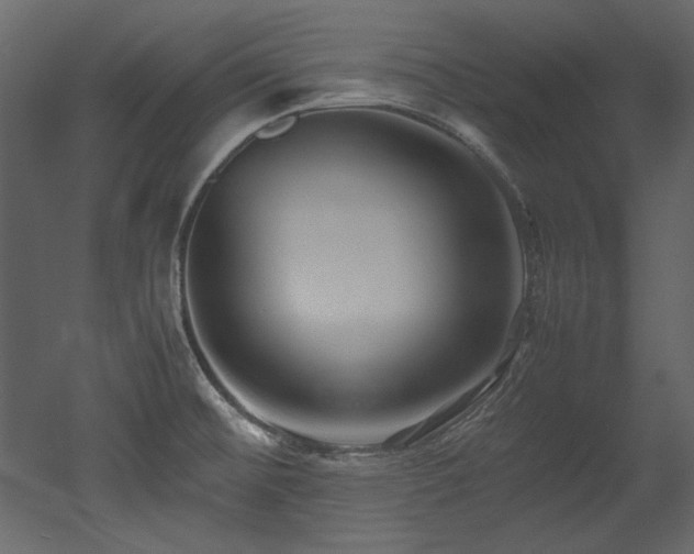 X0000052991476200507081136