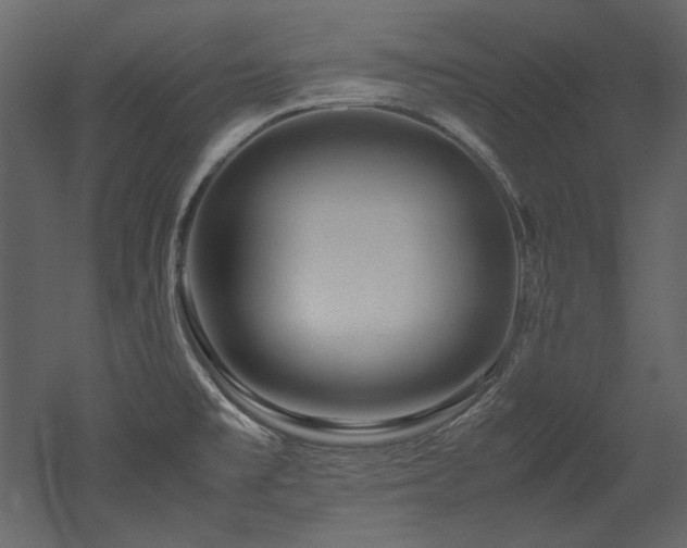 X0000052991477200507081136
