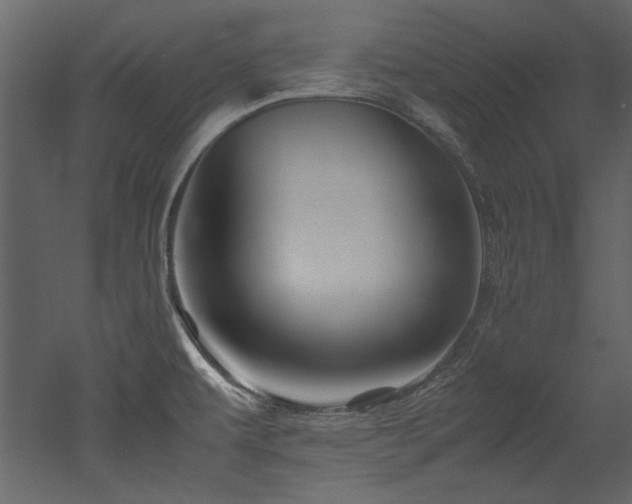 X0000052991479200507081136