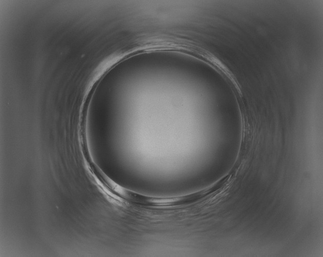 X0000052991485200507081136