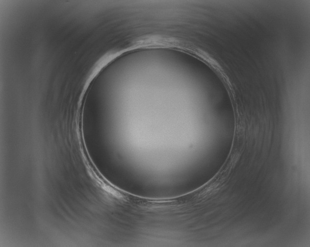 X0000052991486200507081136