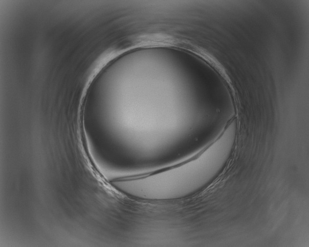 X0000052991488200507081136