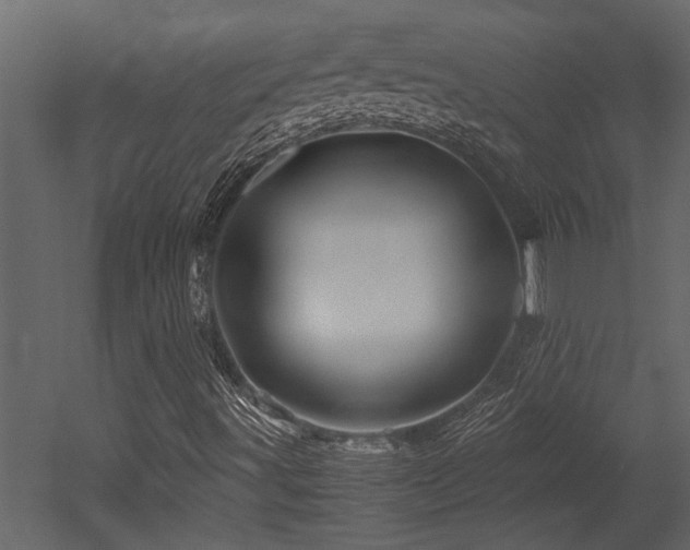 X0000052991491200507081135