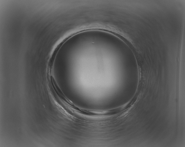 X0000052991510200507081135
