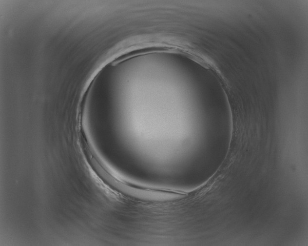 X0000052991524200507081136