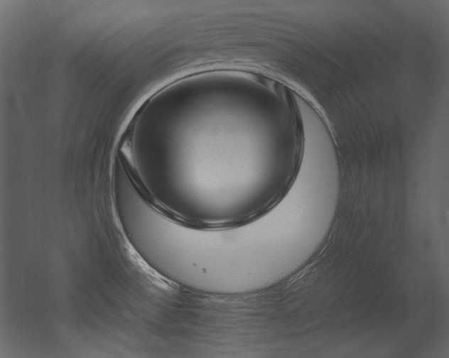 X0000052991532200507081136