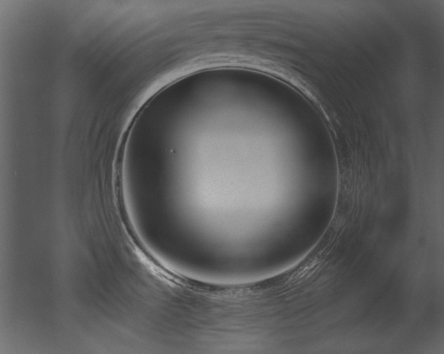 X0000052991535200507081136