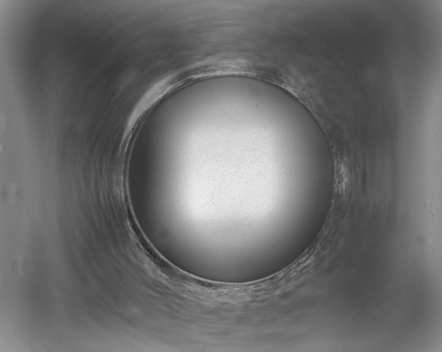 X0000052990004200507151907