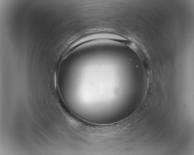X0000052990013200507151907