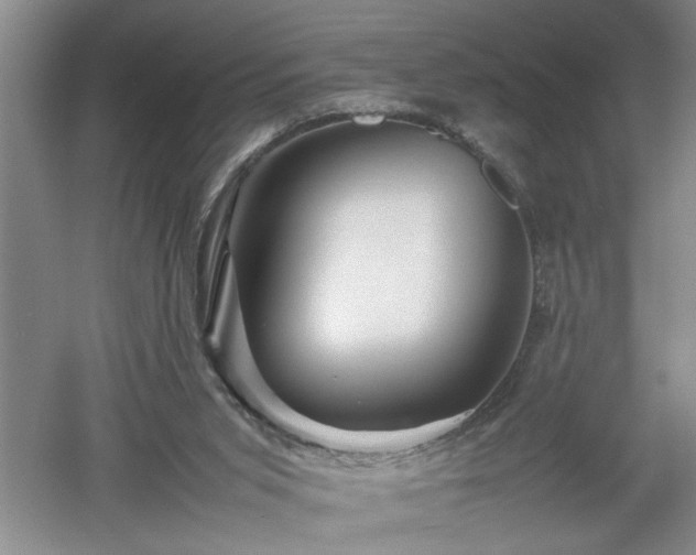 X0000052990015200507151907