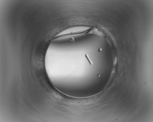 X0000052990017200507151907