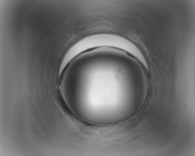 X0000052990021200507151907