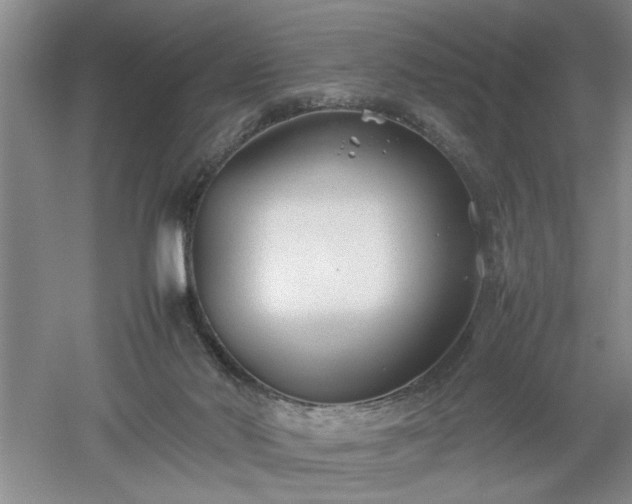 X0000052990022200507151907