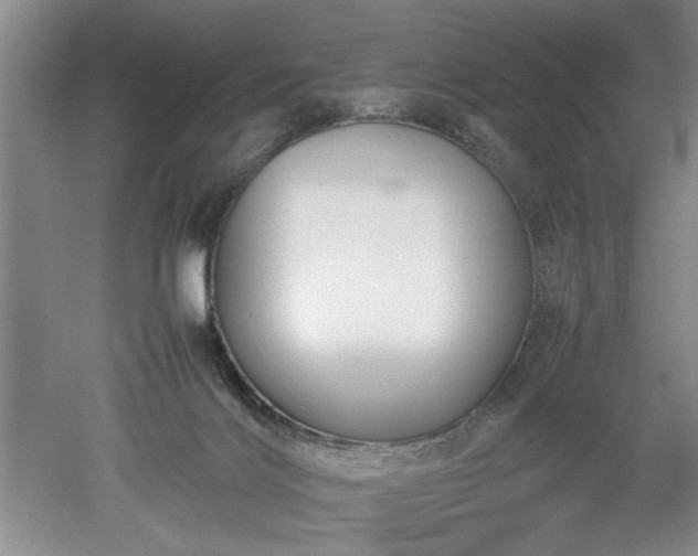 X0000052990028200507151907