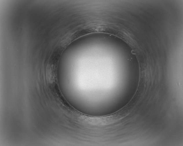 X0000052990030200507151907