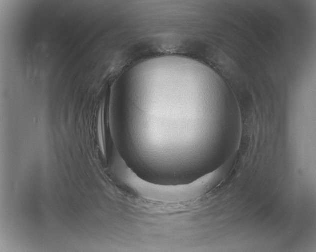 X0000052990031200507151907