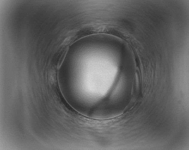 X0000052990035200507151907
