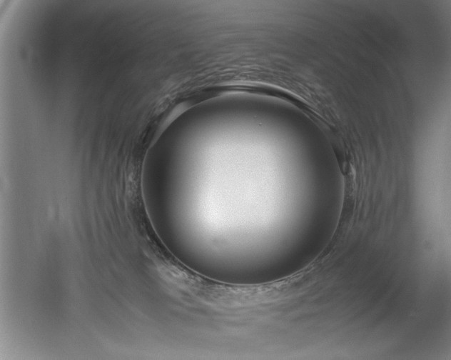 X0000052990037200507151907