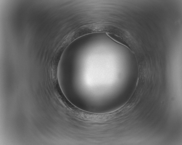 X0000052990044200507151906
