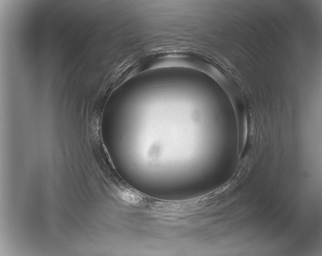 X0000052990045200507151906