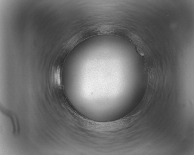 X0000052990046200507151906