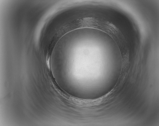 X0000052990047200507151906