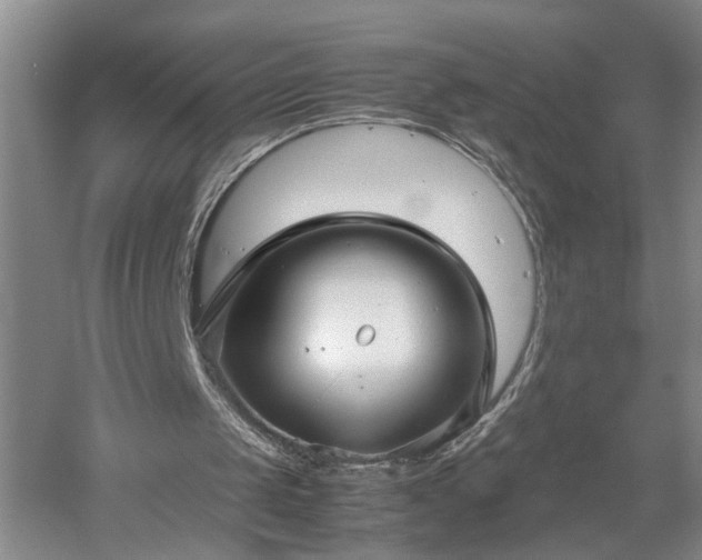 X0000052990049200507151905