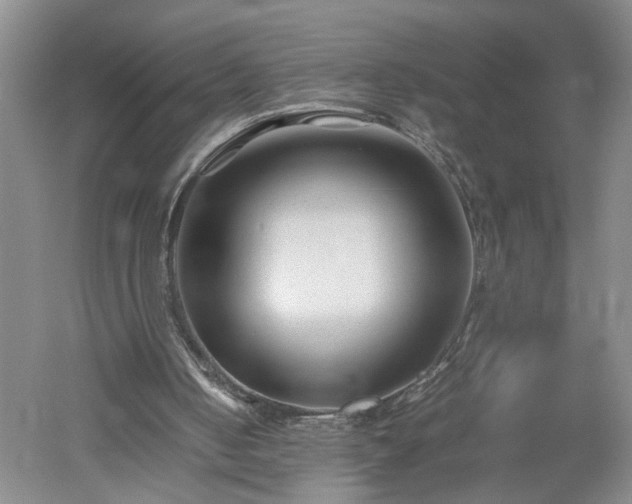 X0000052990050200507151906