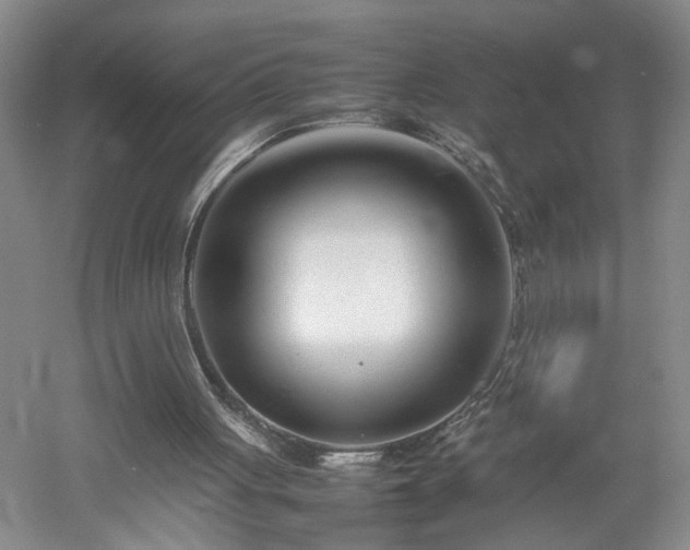 X0000052990051200507151906