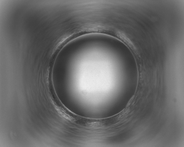 X0000052990058200507151906