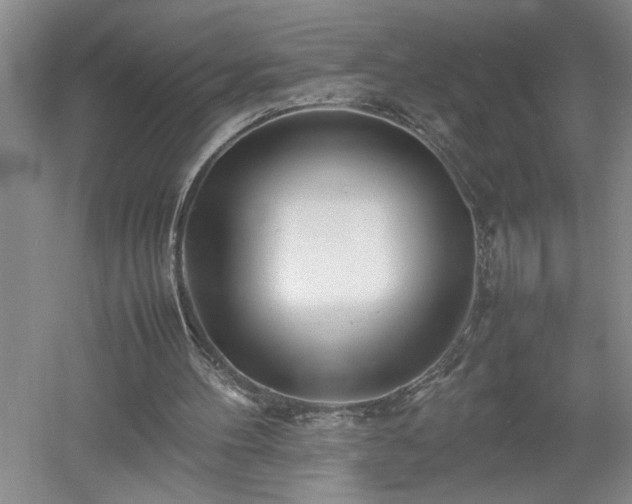 X0000052990100200507151905