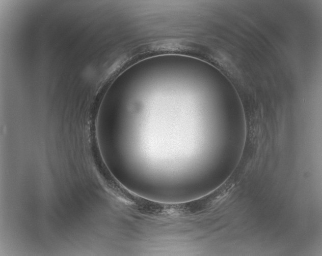 X0000052990111200507151905