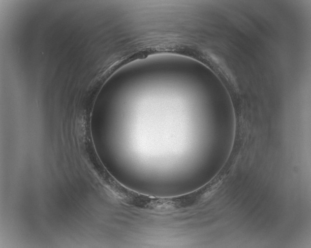 X0000052990113200507151905
