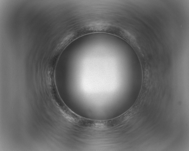 X0000052990114200507151905