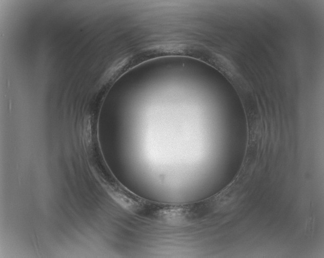 X0000052990120200507151905