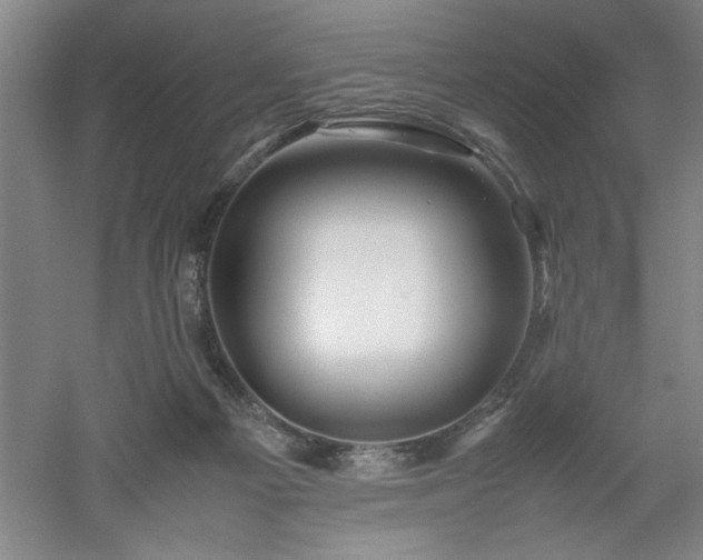 X0000052990121200507151905