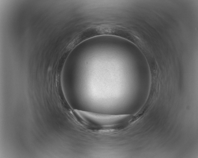 X0000052990125200507151905