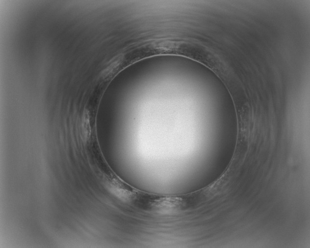 X0000052990128200507151905