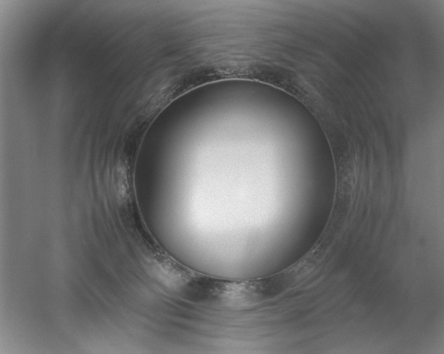 X0000052990130200507151905