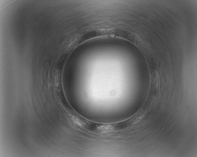 X0000052990133200507151905