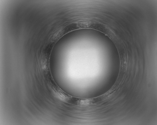 X0000052990134200507151905