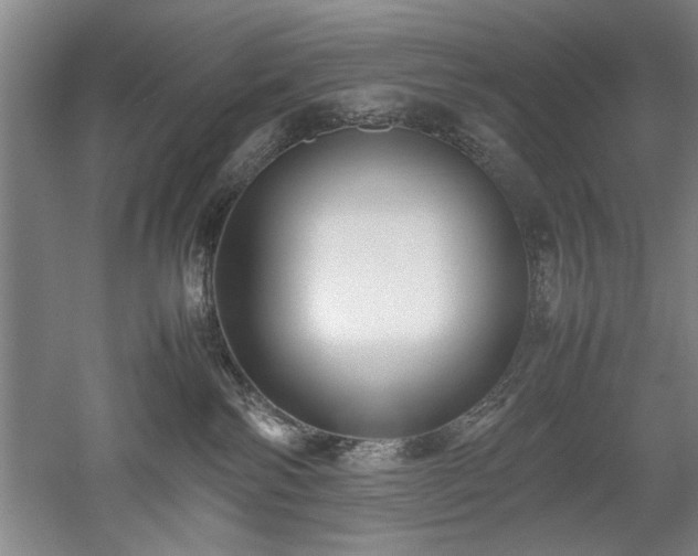 X0000052990138200507151905