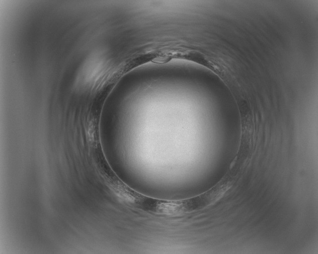 X0000052990139200507151905