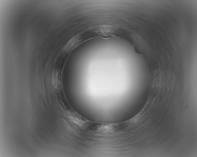 X0000052990140200507151905