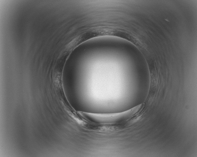 X0000052990141200507151905