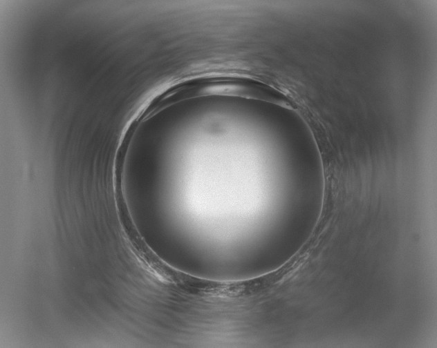 X0000052990148200507151904