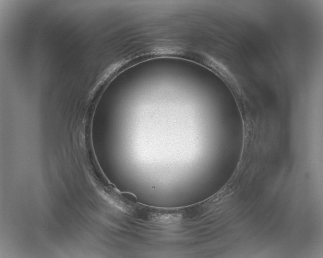 X0000052990155200507151904