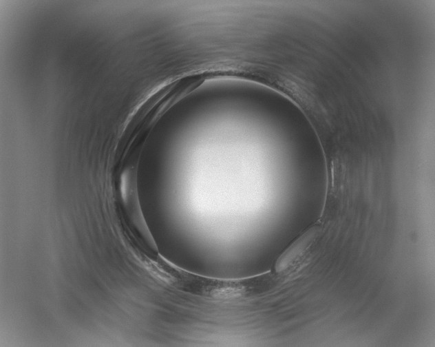 X0000052990156200507151904