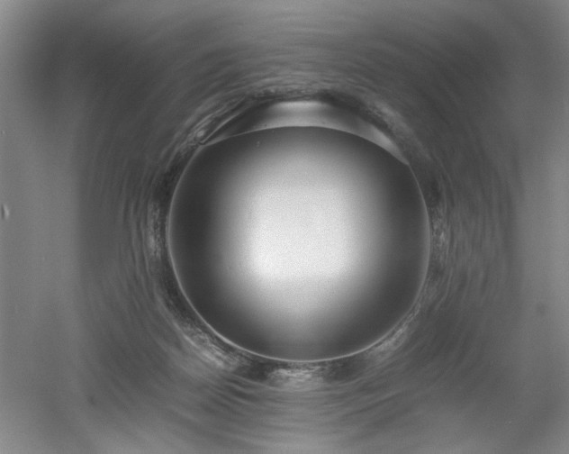 X0000052990170200507151904