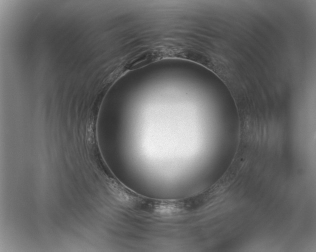 X0000052990177200507151904